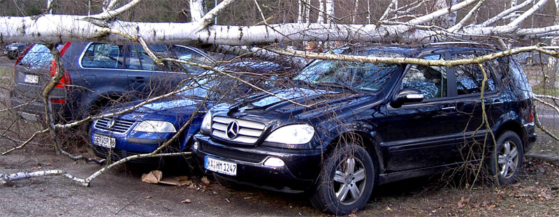  Wie Streichhölzer fielen stramme Bäume auf die Autos!