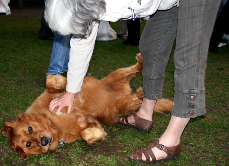 Familienstolz „Lotti“ durfte natürlich auf dem Fest nicht fehlen – der Hund stand mindestens ebenso im Mittelpunkt wie sein Herrchen.